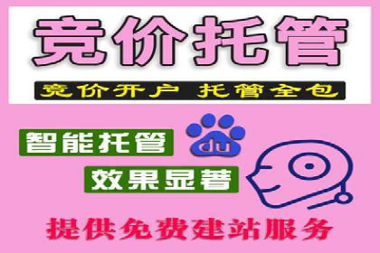 谷歌竞价广告与内容营销的结合策略及实践案例